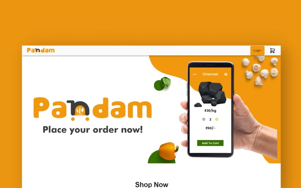 Ecommerce Website development for Pandam by Hion Studios